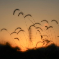 静かな夕暮れ時