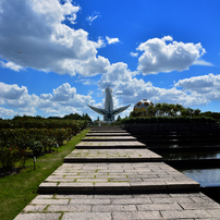 万博記念公園　平和のバラ園より