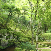 世界遺産の旅