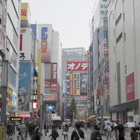 IMGP0001