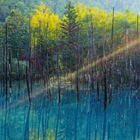朝光