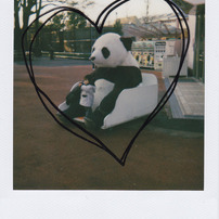 POLAROID(ポラロイド)のフィルムカメラPolaroid One600 Ultra で撮影