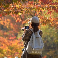 紅葉２０１４