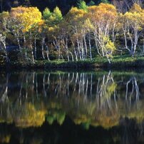 PENTAX(ペンタックス)のデジタルカメラZ-1P で撮影した写真(画像)一覧