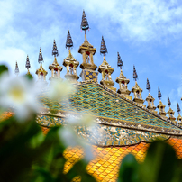 Wat Nong (II)