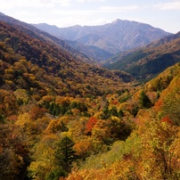 紅葉ももう終りかな　剣山系