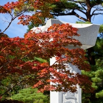 高野山の色
