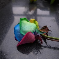 路上の花束
