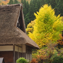 2014年11月02日日曜日　白川郷