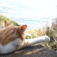 海を見ながら