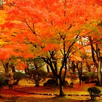 千秋公園