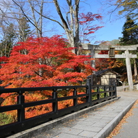 秋を探して2014@古峯神社_01