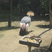 CANON(キヤノン)のデジタルカメラPowerShot A550 で撮影した写真