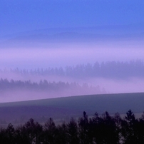 Misty Hill in Biei 