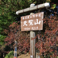 天覧山と飯能市内