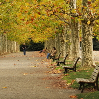 公園の人々－１０