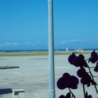 IMGP0271