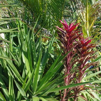 IMGP0470