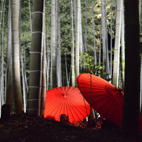 高台寺竹林