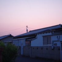 IMGP2409