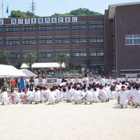 IMGP2544