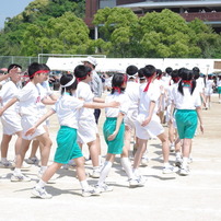 IMGP2549