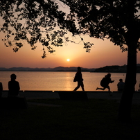 ある夕暮れのひととき