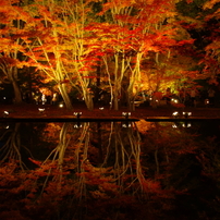 曽木公園