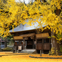 晩秋の福田神社