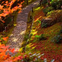 2014京都紅葉めぐり