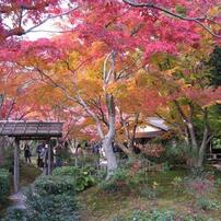 2014年　紅葉狩り