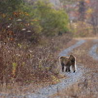 オンラインフォトスクール