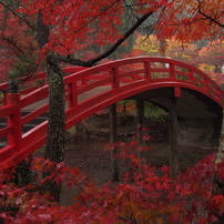 大洞院