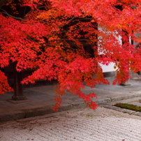 京都錦秋