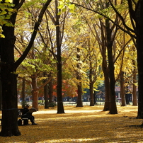 公園の人々－１９