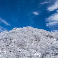 妙見岳の霧氷