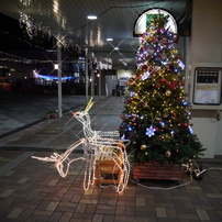 クリスマスイルミネーションin洋光台