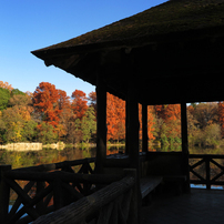 石神井公園の紅葉2014