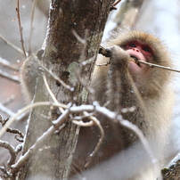 オンラインフォトスクール２