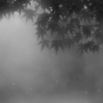 初雪