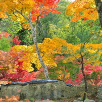 大本山永平寺御直末五鈷山光明寺