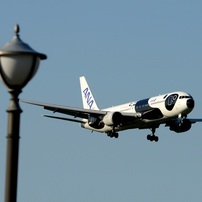 ANA 767-381 