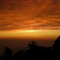 NIKON(ニコン)のデジタルカメラCOOLPIX S200 で撮影した写真(画像)一覧