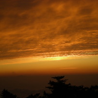 NIKON(ニコン)のデジタルカメラCOOLPIX S200 で撮影した写真(画像)一覧