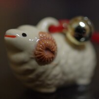PENTAX(ペンタックス)のレンズ smc PENTAX-DA 35mm F2.8 Macro Limited