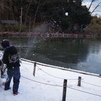 日本昭和村