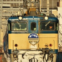 DSC_3012