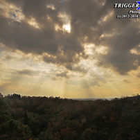 風景　(紅葉Ⅲ)