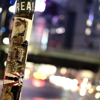shibuya