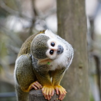 とくしま動物園にて